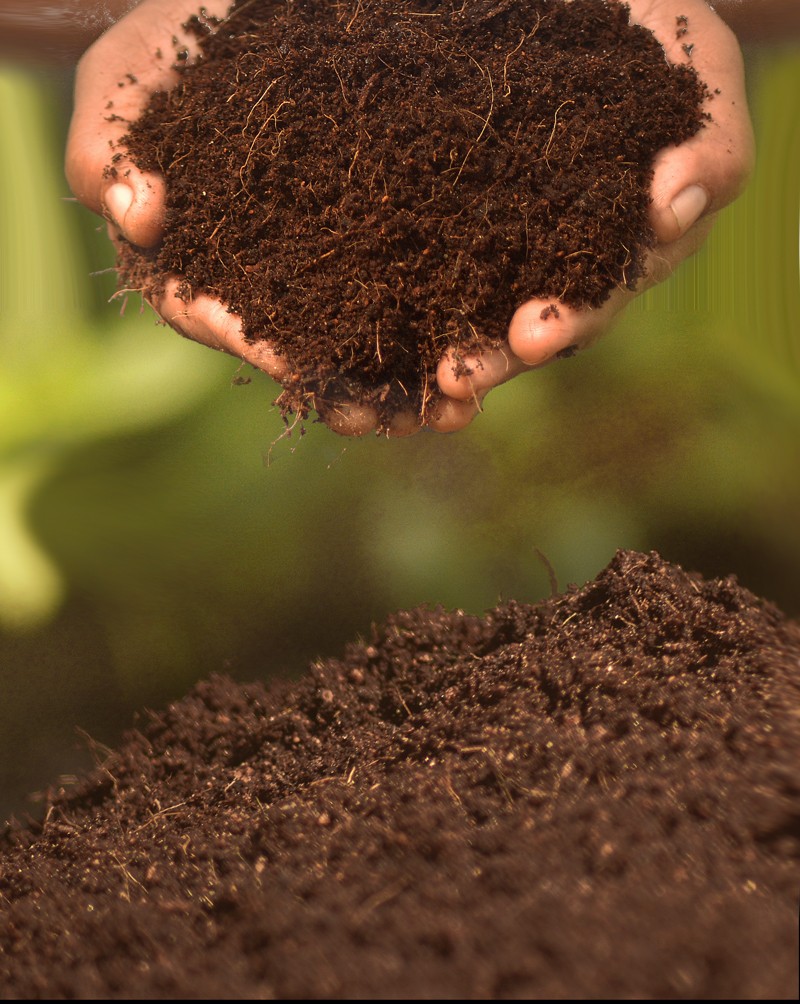 Coco Peat