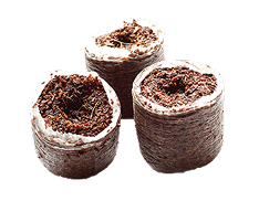 Coco Peat